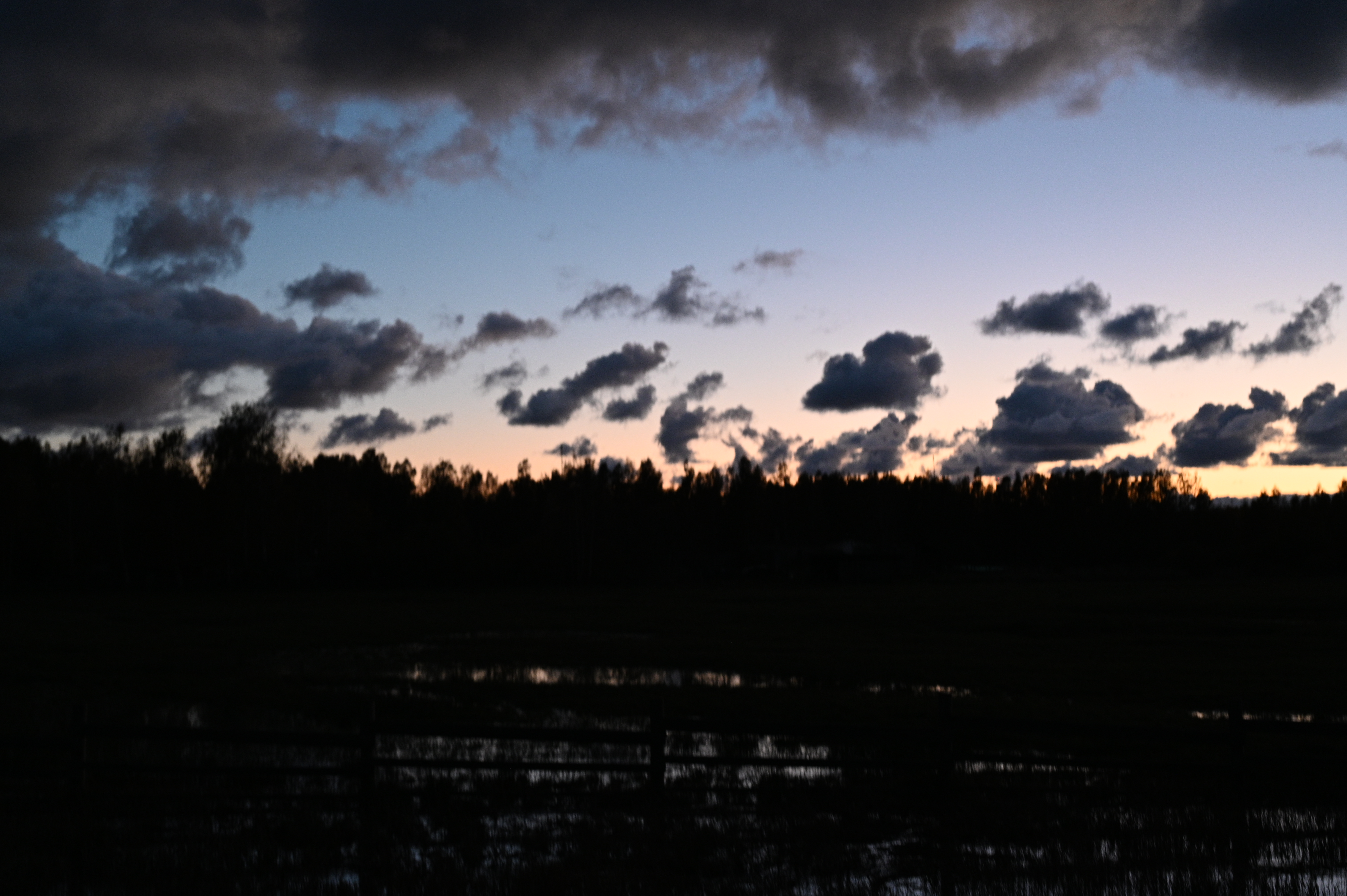 2025/10/18 - walk/DSC_0663.JPG